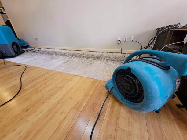 Professional Water Damage Repair technician working in Kelleys Island, OH